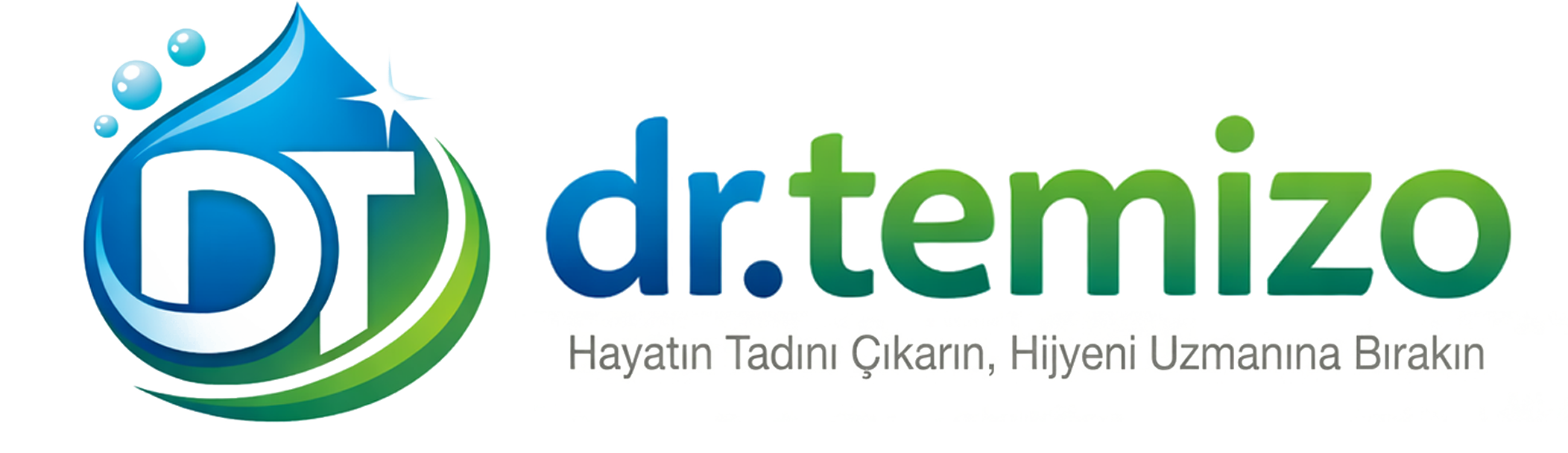 DrTemizo Logo